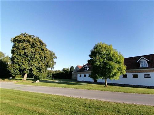 Sommerhus - 35 personer -  - Emmelevvej - 8500 - Grenå