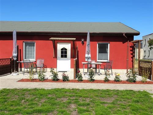 Ferielejlighed - 2 personer -  - Hafenstraße - 17449 - Karlshagen