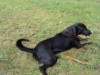 Bild 17