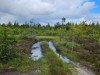 Bild 18 - Blick über's Wasser