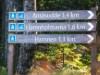 Afbeelding 21