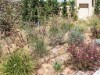 Bild 30 - Ude