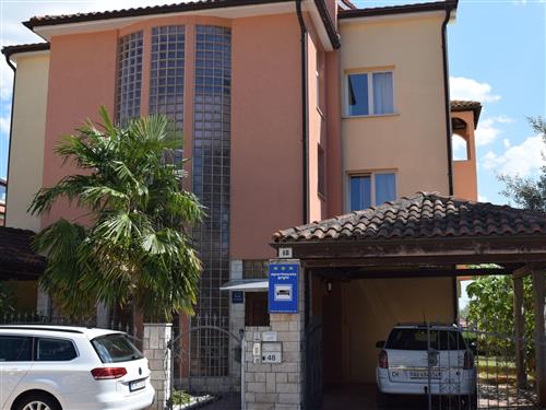 Ferieleilighet - 3 personer -  - Novigrad (Istra) - 52466