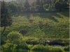 Bilde 5