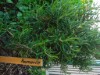 Billede 104 - Udsigt