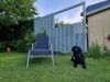Bild 41