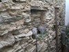 Image 27 - Outside