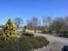 Bild 19