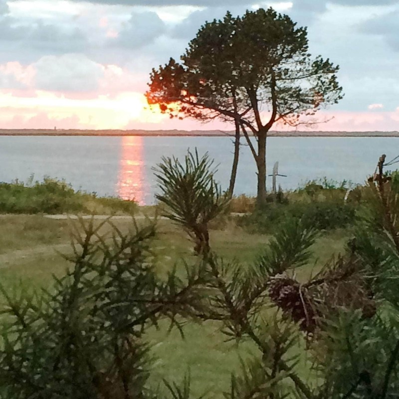 Ferienhaus - 6 Personen -  - Husfold - Bork Havn - 6893 - Ringkøbing Fjord