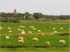 Image 16