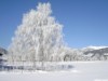 Bild 21