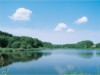 Bild 20