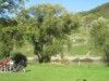 Billede 9