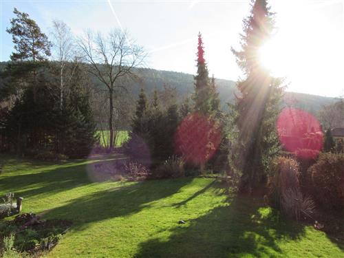 Ferienwohnung - 6 Personen -  - Königheimer Str. - 97941 - Tauberbischofsheim