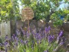 Bild 16