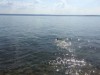 Bild 16