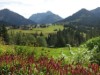Bild 17