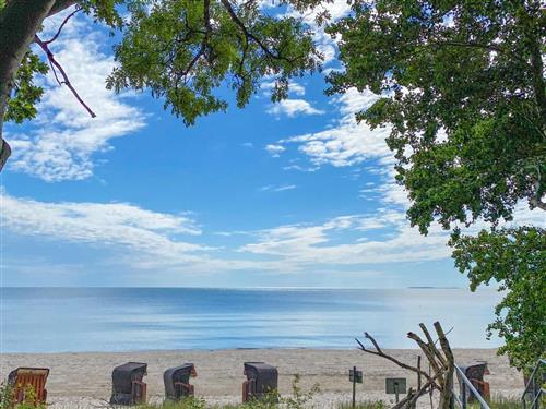 Ferielejlighed - 6 personer -  - Göhrener Weg - 18586 - Lobbe