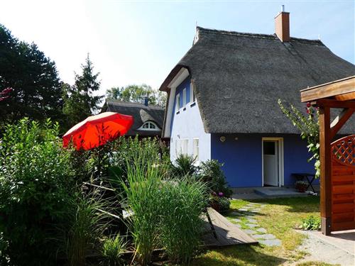 Sommerhus - 2 personer -  - Edmund-Kesting-Weg - 18347 - Ahrenshoop