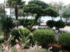 Image 16