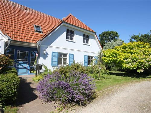 Ferienwohnung - 4 Personen -  - Schmiedestr. 3 A - 18347 - Wustrow