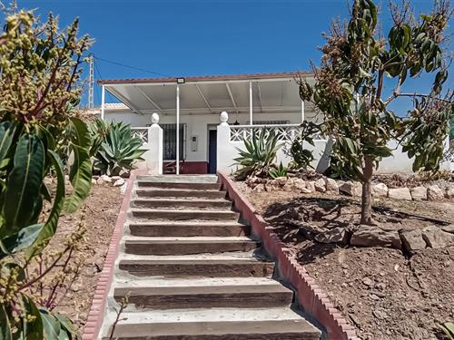 Ferienhaus - 4 Personen -  - Pago Manzano Bajo - 29793 - El Morche