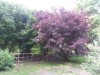 Image 15 - Outside
