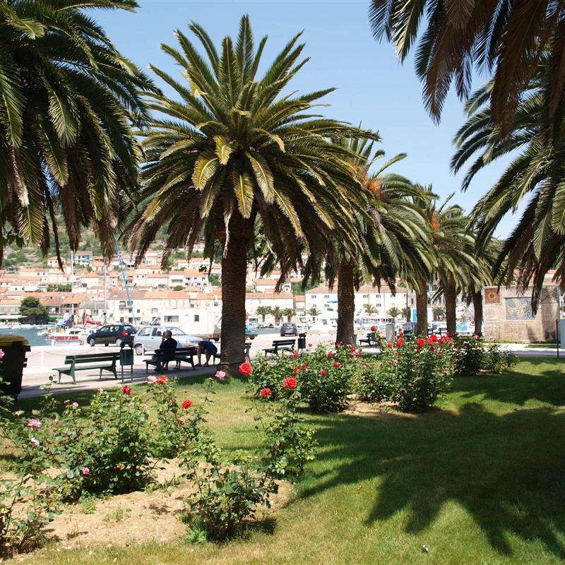 Ferielejlighed - 3 personer -  - Korcula/Vela Luka - 20270