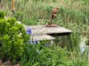 Bild 22