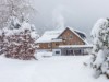Bilde 3