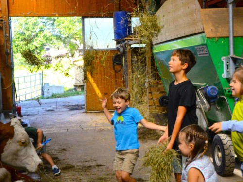 Bauernhof - 5 persons -  - Leiten - 8972 - Ramsau Am Dachstein