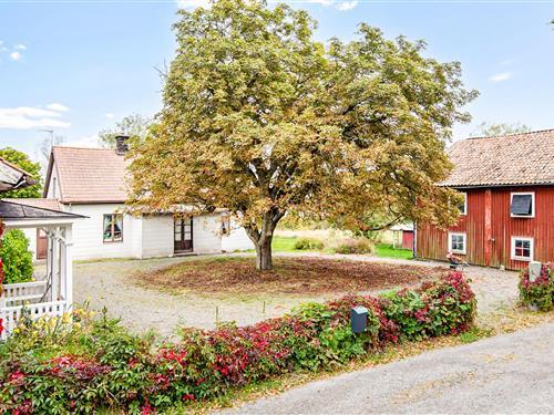 Semesterhus/Semesterlägenhet - 8 personer -  - Torpvägen - Valdemarsvik/Ringarum - 610 41 - Ringarum