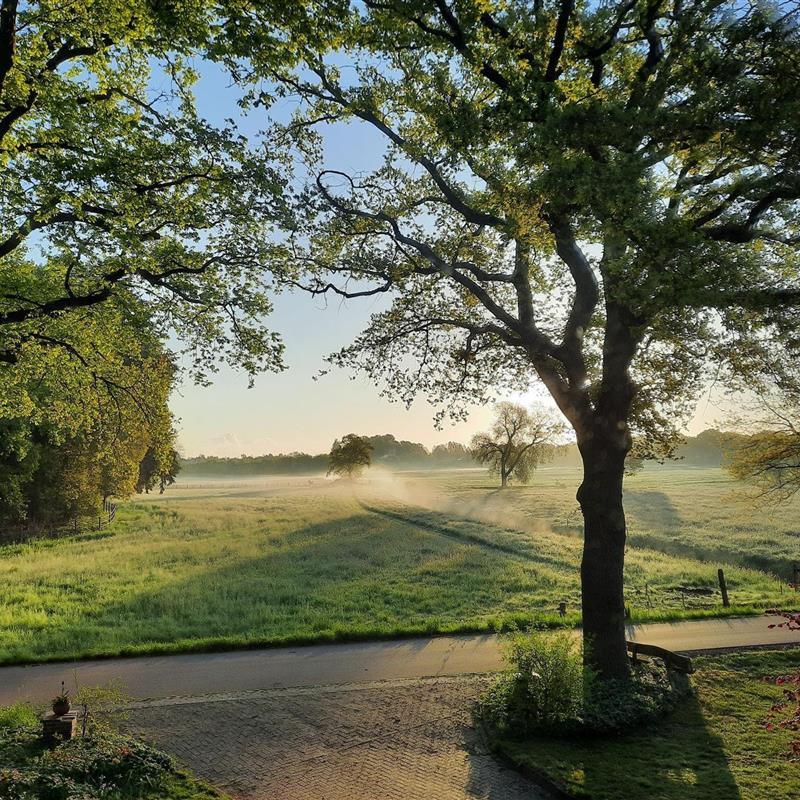 Ferielejlighed - 4 personer -  - Ringelmannsdamm - 26655 - Westerstede