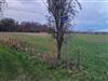 Billede 14 - Ude