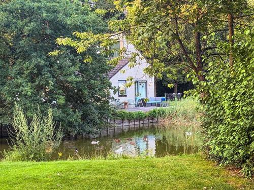 Feriehus - 5 personer -  - Haspelstraat - 4741 SG - Hoeven