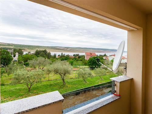 Holiday apartment - 4 persons -  - Vrtlina - Starigrad-Rovanjska - 23244 - Rovanjska