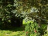 Bild 22