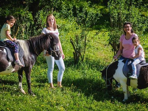 Gård - 4 personer -  - Hochrieß - 3251 - Purgstall