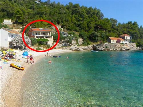 Ferielejlighed - 5 personer -  - Gdinj 329, Uvala Skozanje - 21467 - Gdinj-Virak
