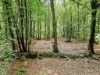 Billede 26