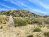 Bilde 17