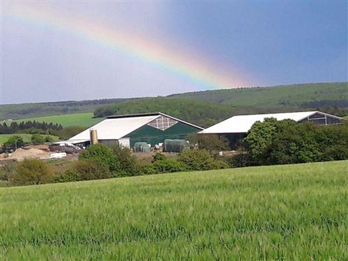 Bondegård - 4 personer -  - Hauptstr. - 55566 - Ippenschied