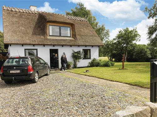 Ferienhaus - 4 Personen -  - Slotshavevej - Vindebæk/Møn - 4792 - Askeby