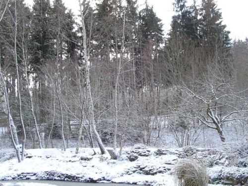 Sommerhus - 4 personer -  - 94209 - Regen