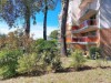 Image 3 - Outside