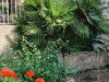 Image 14