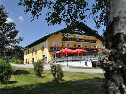 Semesterhus/Semesterlägenhet - 2 personer -  - Hirschenwies - 3970 - Moorbad Harbach / Hirsche