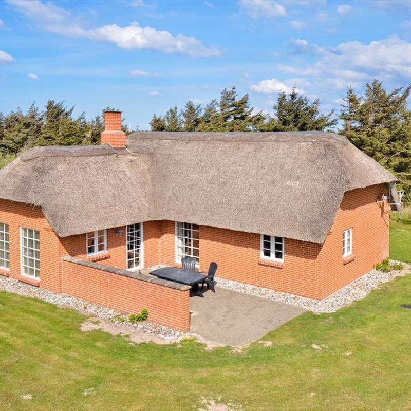 Sommerhus - 6 personer -  - Blåbærvej - Vedersø Klit - 6990 - Ulfborg