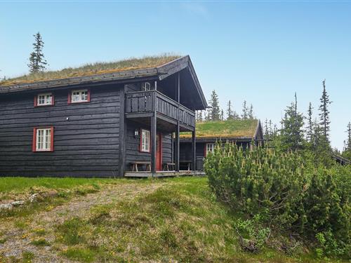 Sommerhus - 11 personer -  - Bjertnesseterveien - 3359 - Eggedal