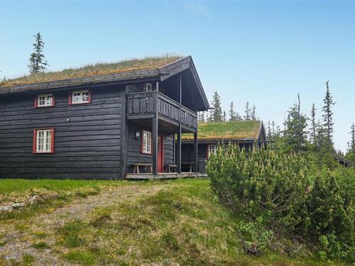 Fritidshus - 11 personer -  - Bjertnesseterveien - 3359 - Eggedal